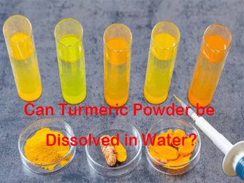 Can Turmeric Powder be Dissolved in Water?